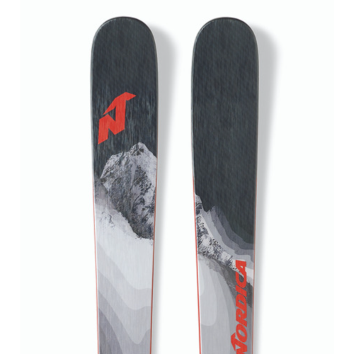 Skis | Rick's Pro Ski Shop
