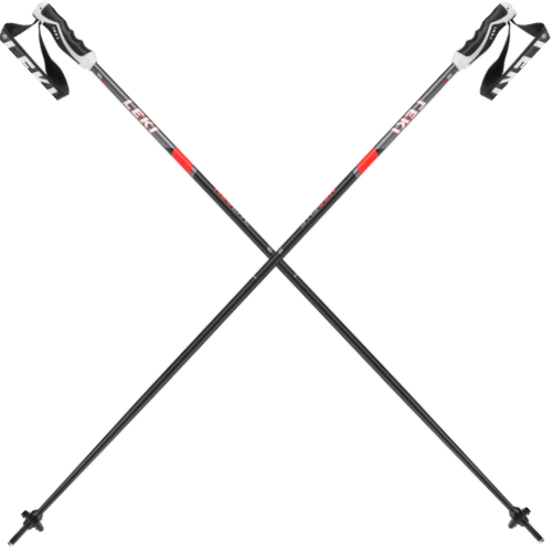 Ski Poles | Rick's Pro Ski Shop
