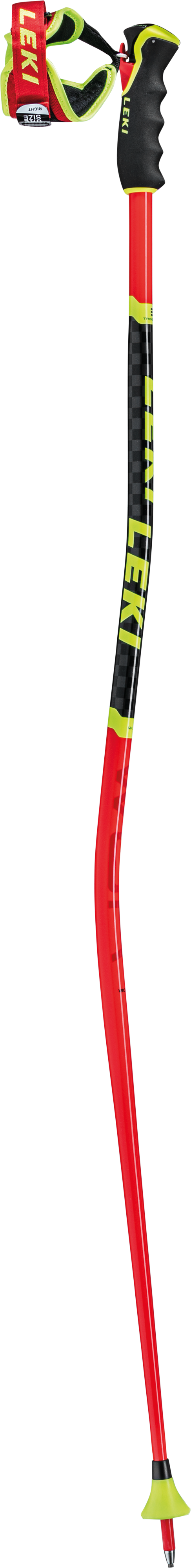 Leki - WCR GS 3D Racing Pole